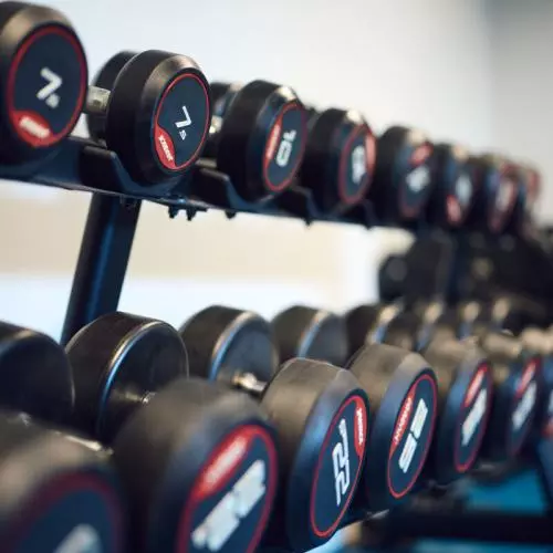Rows of weights in the University Club Gym
